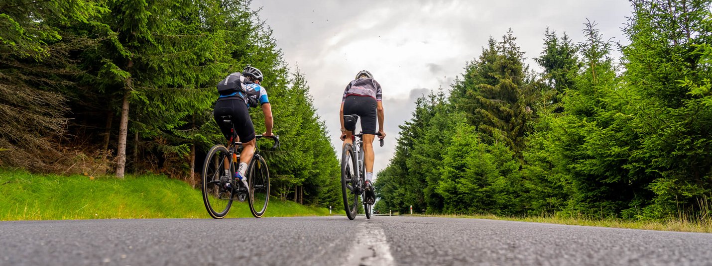 Due ciclisti su una strada in una foresta di pini
