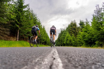 Due ciclisti su una strada in una foresta di pini
