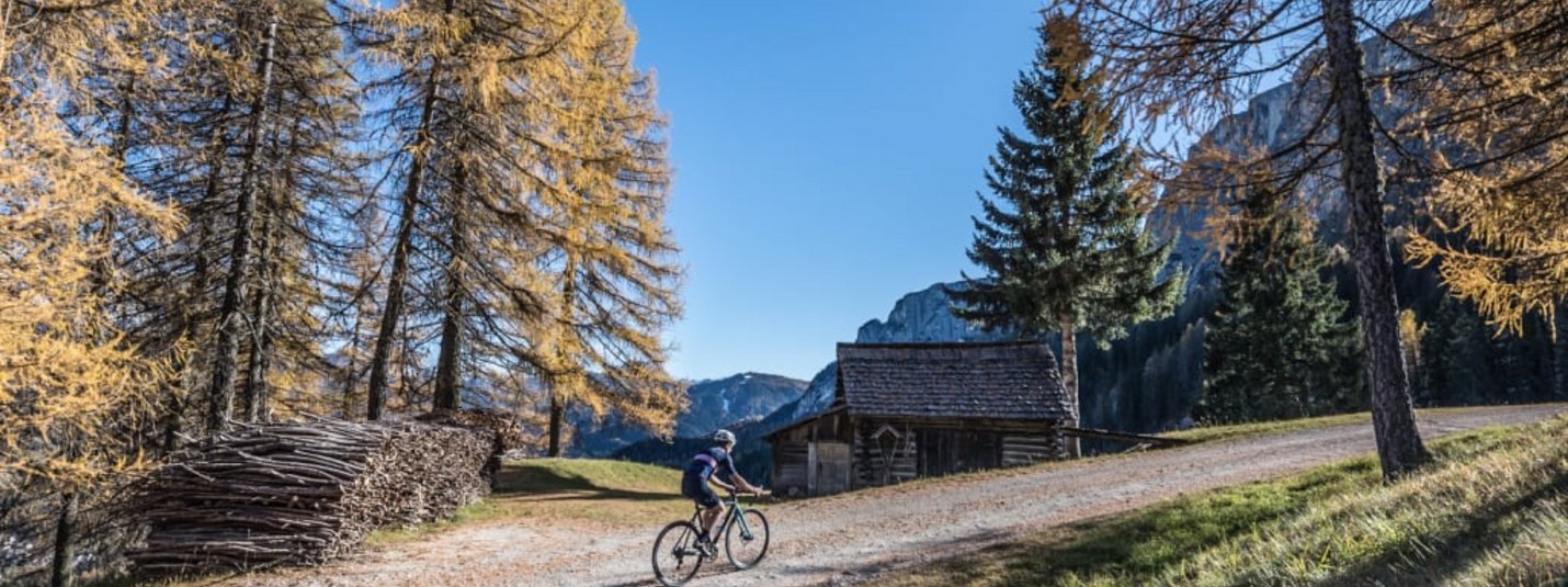 Cyclist on forest path near wooden hut and yellow trees under clear sky
