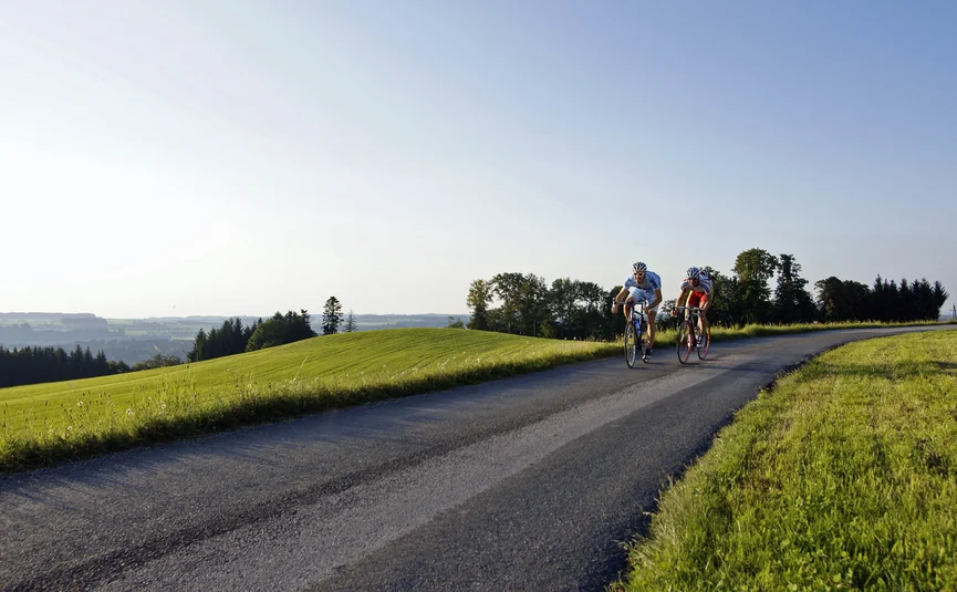 Zwei Rennradfahrer fahren auf Landstraße durch grüne hügelige Landschaft