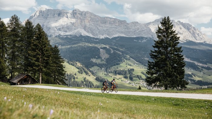 Two cyclists on a path in the mountains with green meadows and pine trees