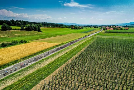 Wielerwedstrijd op landelijke weg door velden en landschap bij zonnig weer