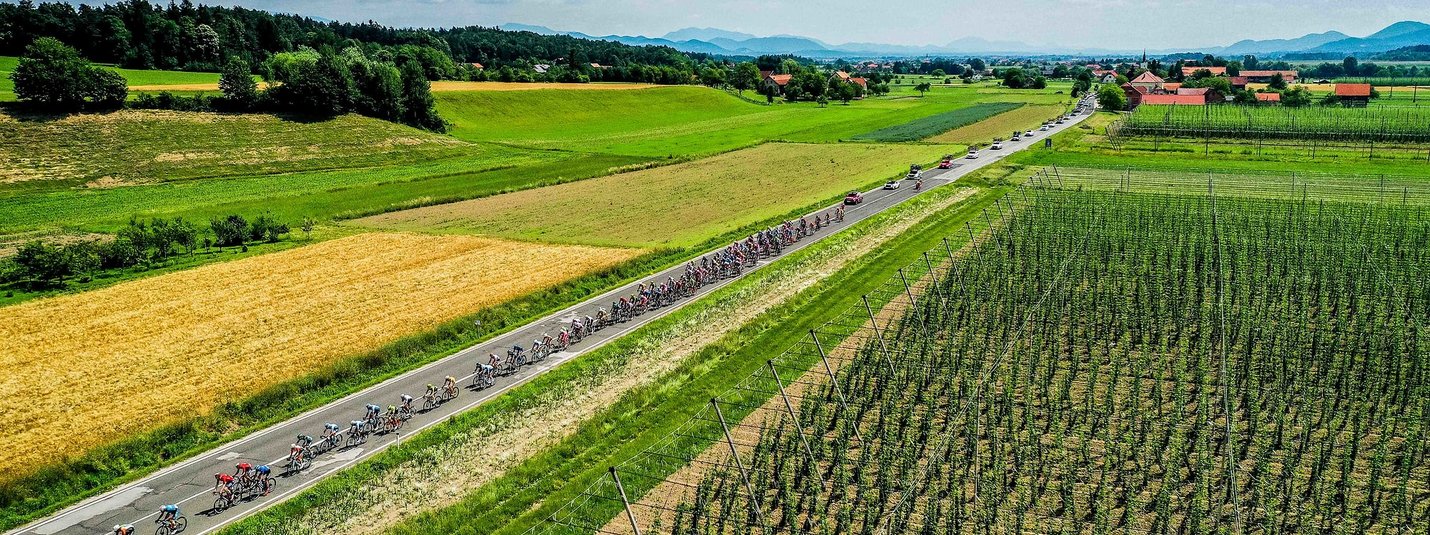 Wielerwedstrijd op landelijke weg door velden en landschap bij zonnig weer
