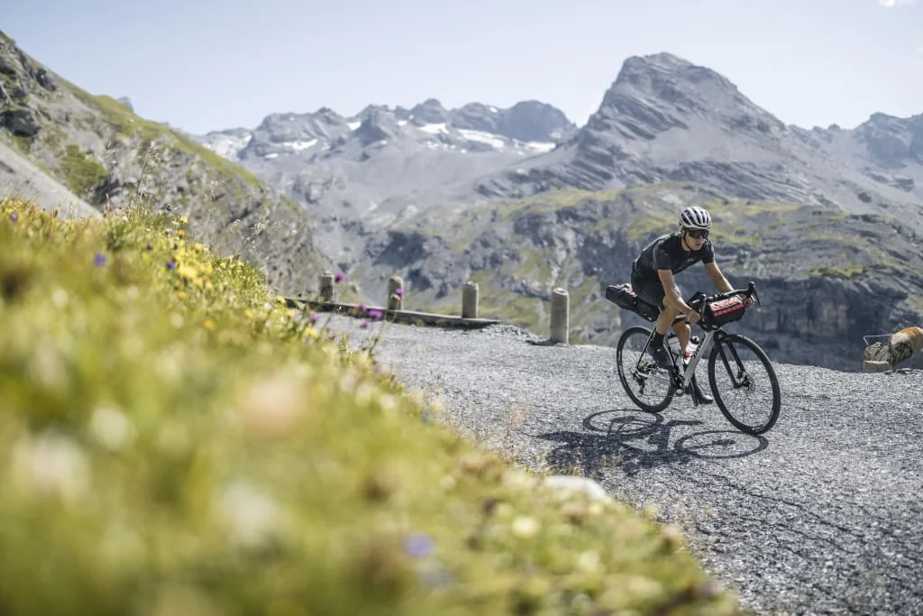 Fietser op bergpad met Alpen en wilde bloemen op de achtergrond