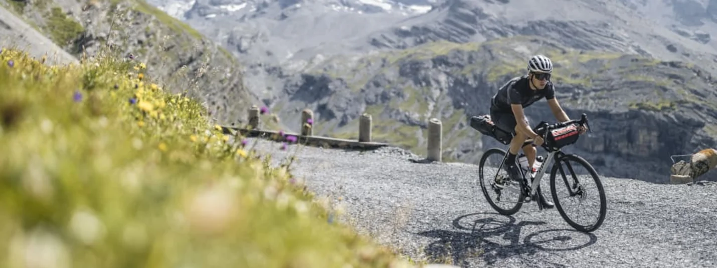 PREMIUM Gravel Package Fietser op bergpad met Alpen en wilde bloemen op de achtergrond