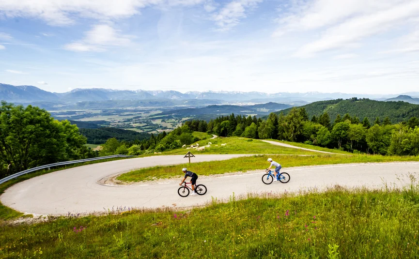 Racefietsvakantie in Midden-Karinthië © Michael Stabentheiner Twee fietsers op kronkelende bergweg met groene heuvels en bergen in de verte