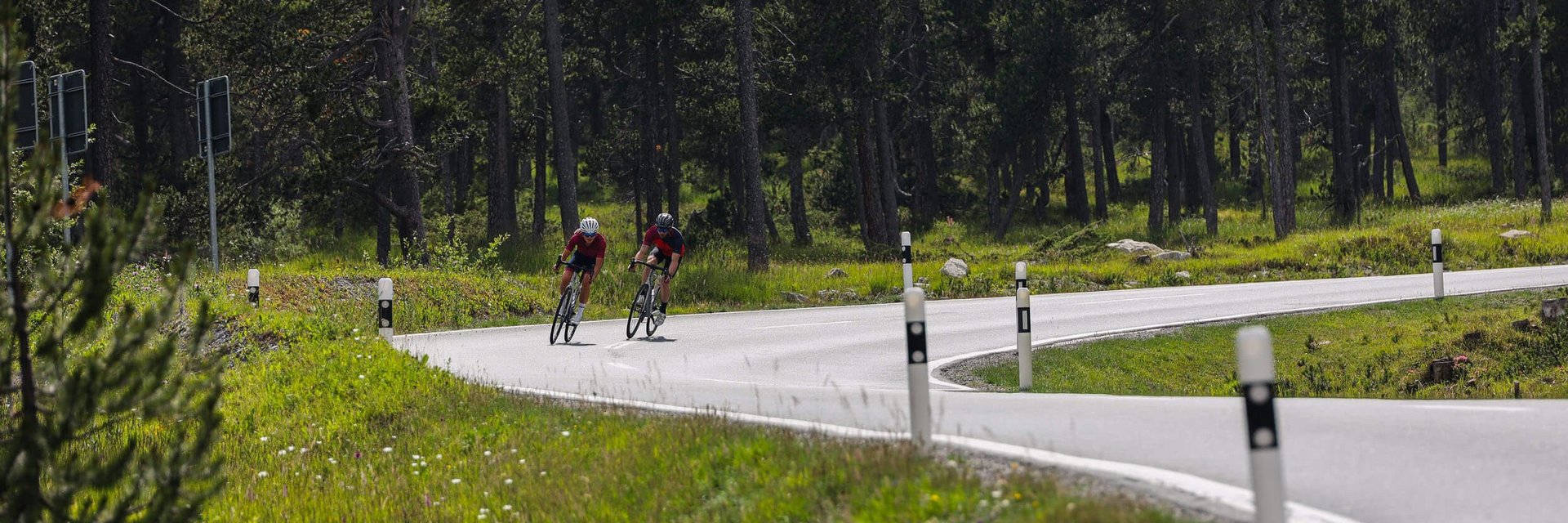 Zwei Radfahrer auf einer kurvigen Straße im Wald