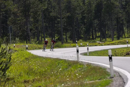 Zwei Radfahrer auf einer kurvigen Straße im Wald