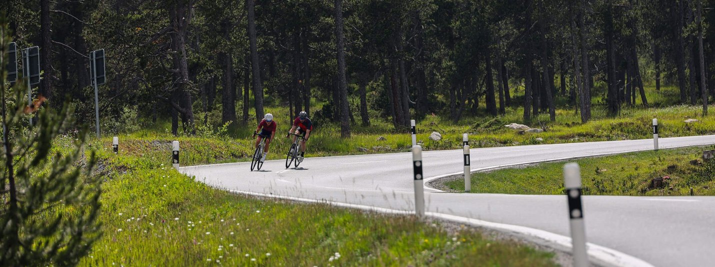 Zwei Radfahrer auf einer kurvigen Straße im Wald