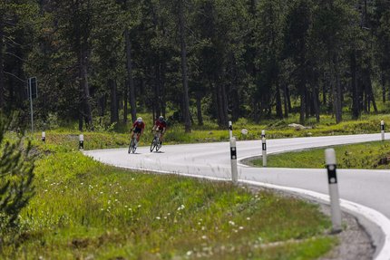 Zwei Radfahrer auf einer kurvigen Straße im Wald