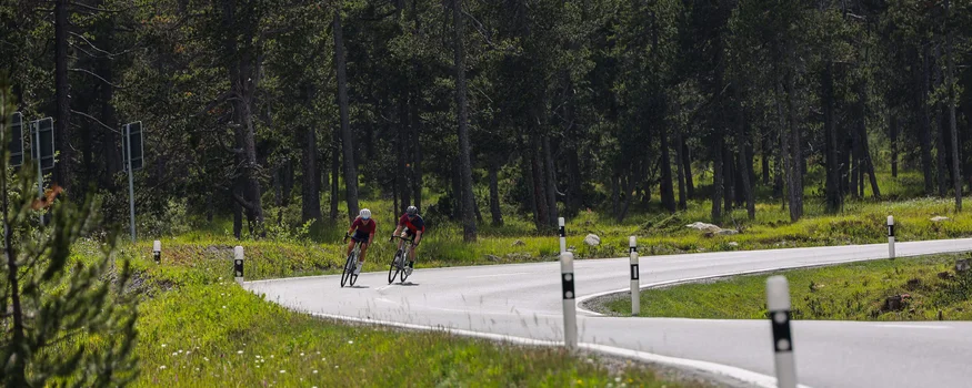 Twee wielrenners op een kronkelende weg door het bos