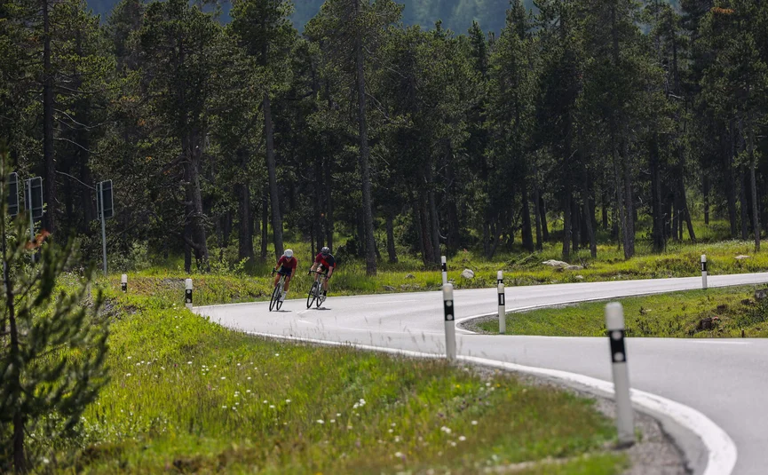 Two cyclists on a winding road through a forest