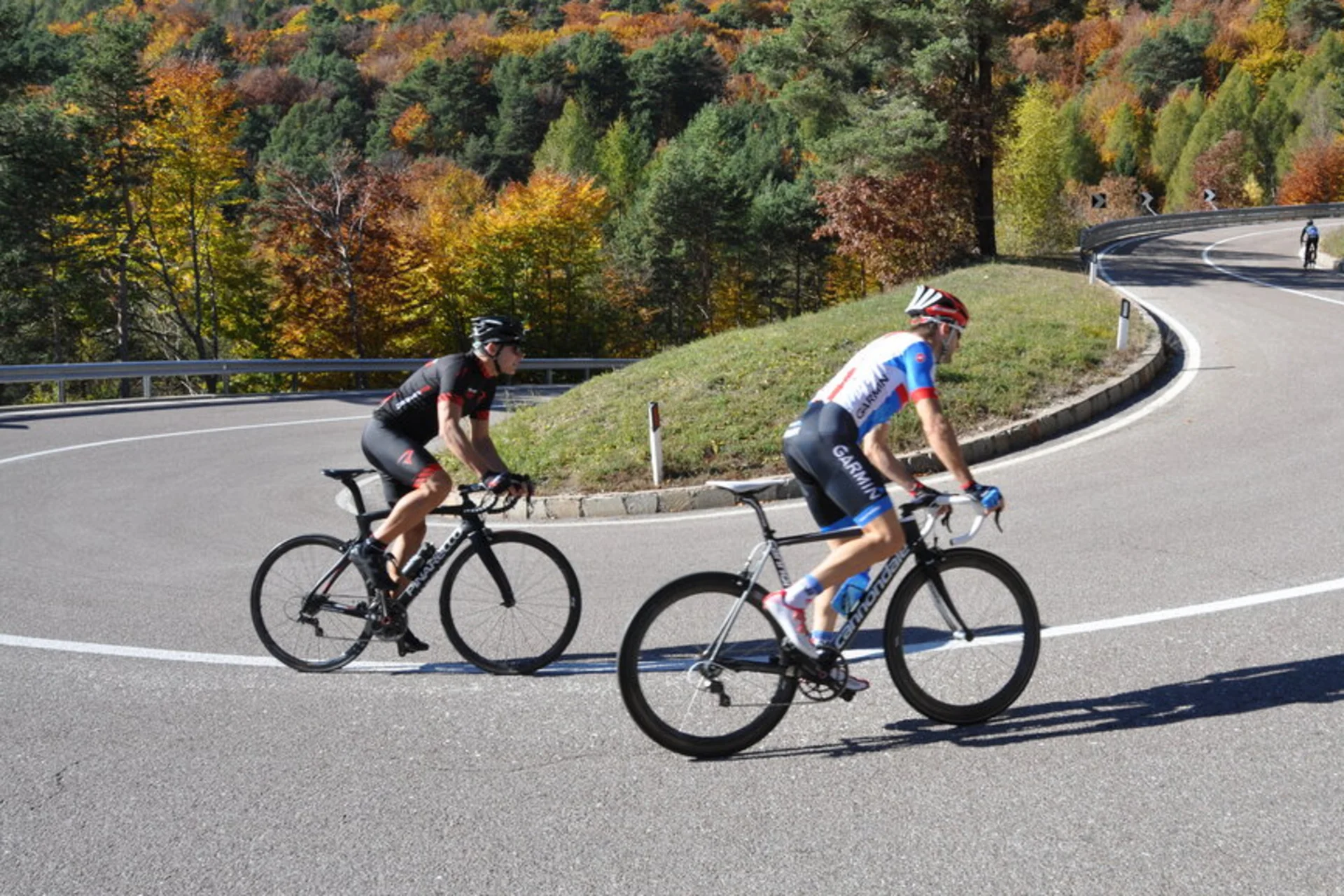 Roadbike Holidays © Teutschhaus Drei Radfahrer auf einer kurvigen Straße durch herbstlich gefärbte Wälder