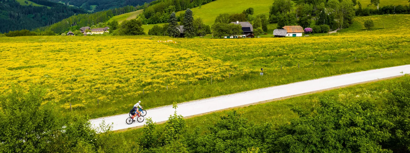 Vacanze in bicicletta in Carinzia © Michael Stabentheiner Due ciclisti su strada di campagna vicino a campi di fiori gialli e colline verdi