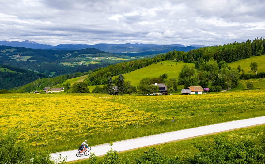 Road bike holiday in Central Carinthia © Michael Stabentheiner Two cyclists on rural road beside yellow flower fields and green hills