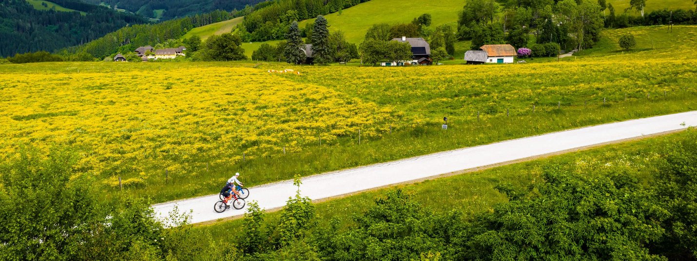 Road bike holidays in Carinthia © Michael Stabentheiner Two cyclists on rural road beside yellow flower fields and green hills