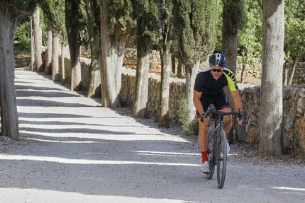 Radfahrer fährt auf einem von Zypressen gesäumten Kiesweg