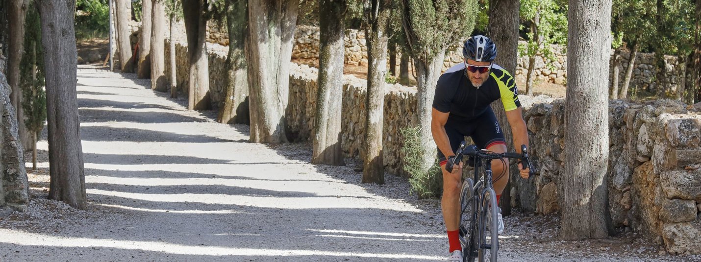 Rennrad Urlaub in der Toskana © Asha Balogh Radfahrer fährt auf einem von Zypressen gesäumten Kiesweg