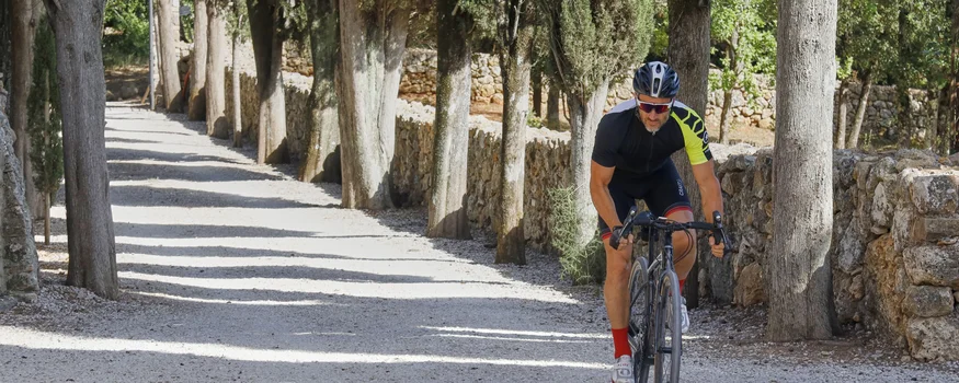 Radfahrer fährt auf einem von Zypressen gesäumten Kiesweg