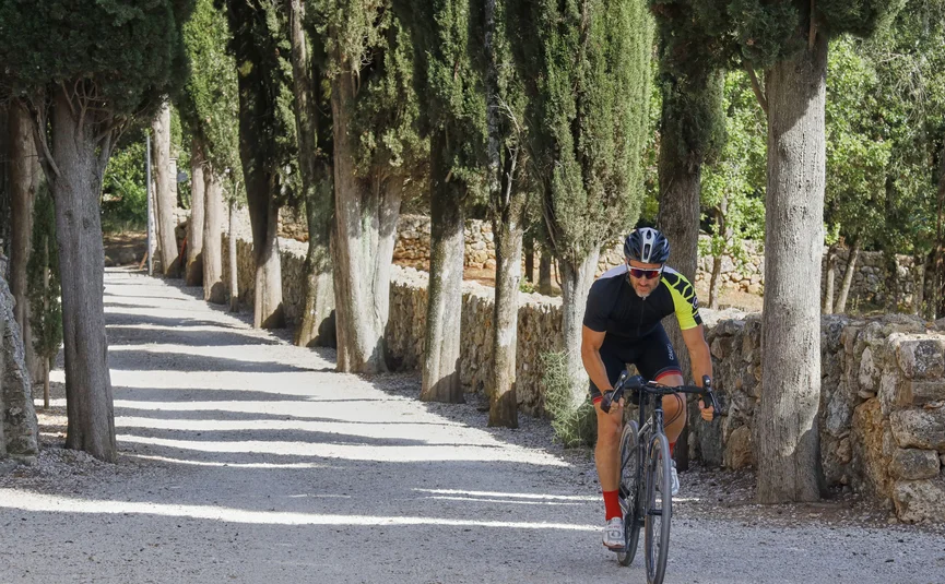 Radfahrer fährt auf einem von Zypressen gesäumten Kiesweg