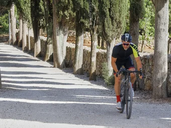 Tuscany © Asha Balogh Cyclist riding on a gravel path lined with cypress trees