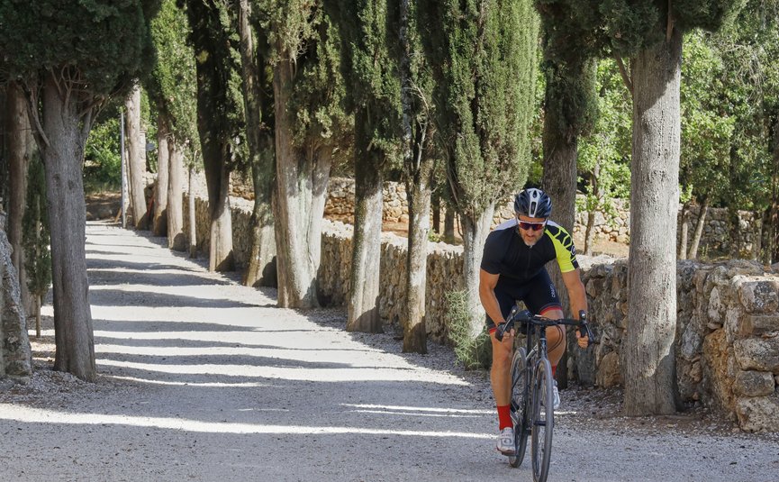 Hotel & Restaurant Casolare Le Terre Rosse ***S © Asha Balogh Radfahrer fährt auf einem von Zypressen gesäumten Kiesweg