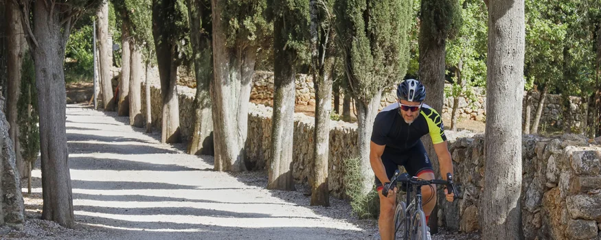Rennradfahren in der Toskana © Asha Balogh Radfahrer fährt auf einem von Zypressen gesäumten Kiesweg