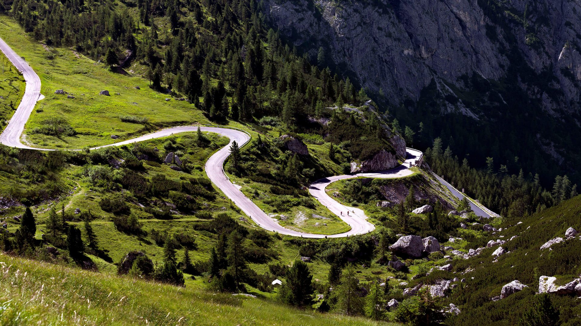 Serpentinenstraße in grüner Berglandschaft mit Felsen und Bäumen