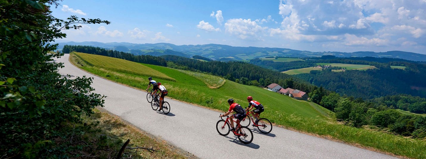 Drei Radfahrer fahren auf einer Landstraße durch grüne Hügel bei blauem Himmel
