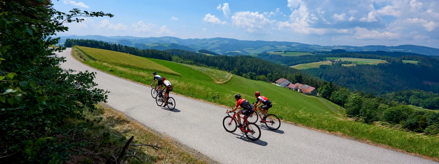 Tre ciclisti su una strada di campagna tra colline verdi sotto un cielo azzurro