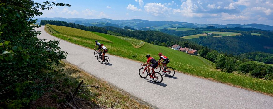 Drei Radfahrer fahren auf einer Landstraße durch grüne Hügel bei blauem Himmel