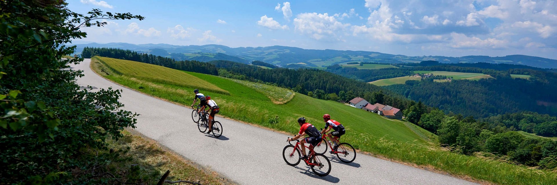 Drei Radfahrer fahren auf einer Landstraße durch grüne Hügel bei blauem Himmel