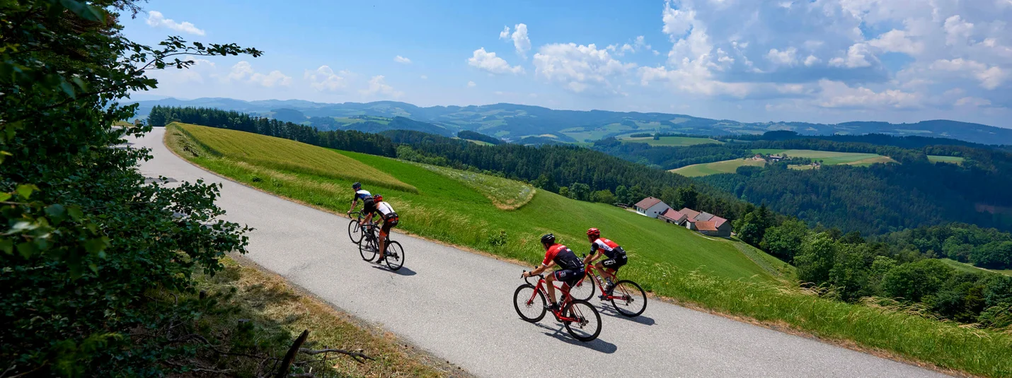 Road bike holidays in the Bucklige Welt © Joris Lugtigheid Three cyclists riding on a country road through green hills under a blue sky