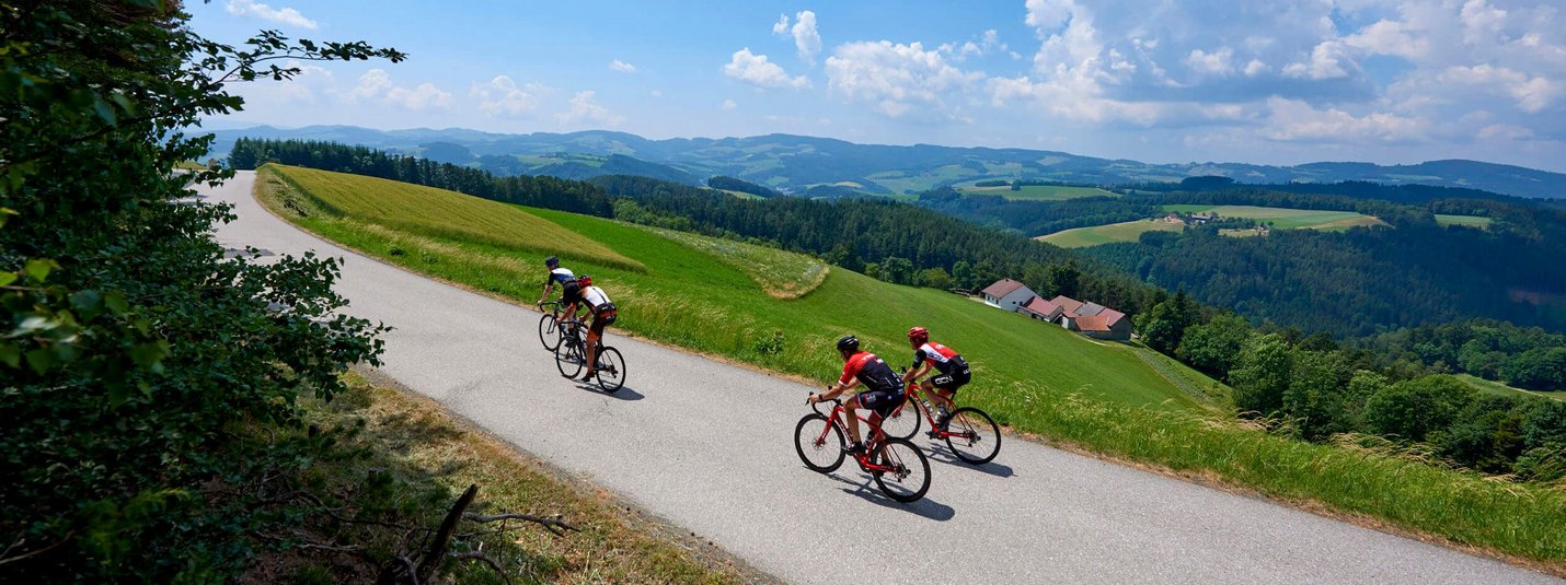 Three cyclists riding on a country road through green hills under a blue sky