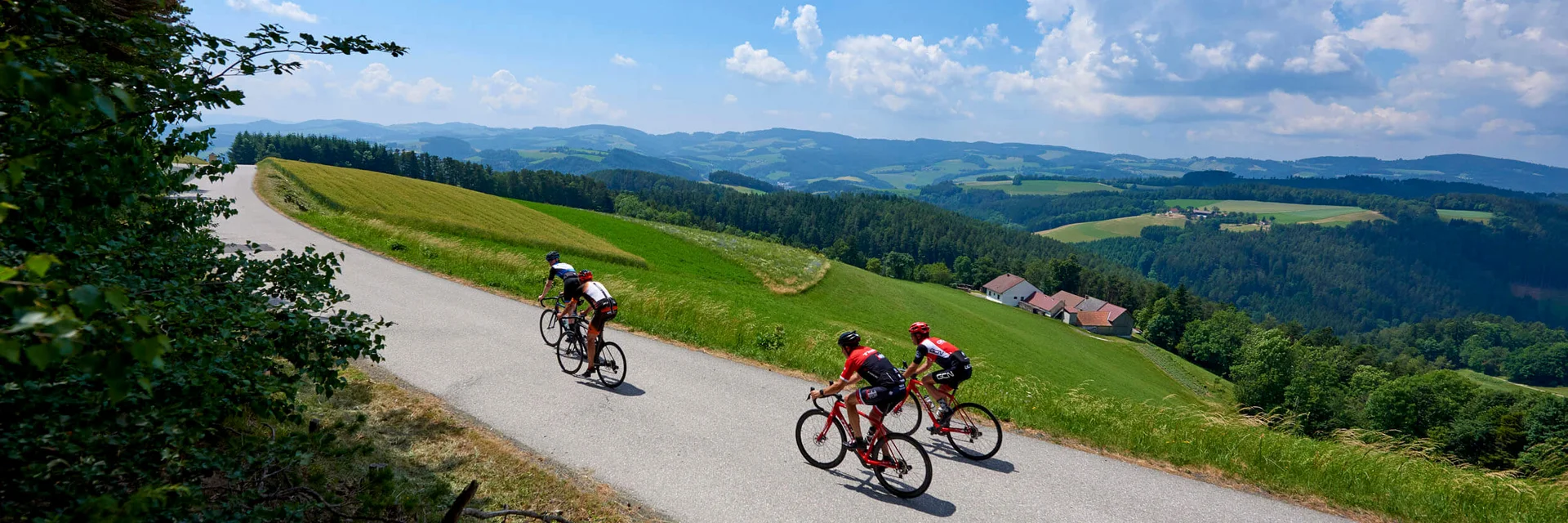 Tre ciclisti su una strada di campagna tra colline verdi sotto un cielo azzurro