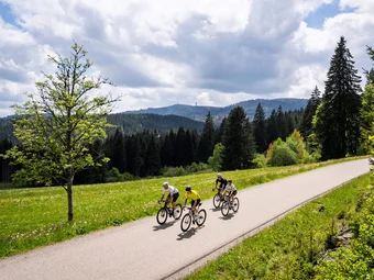 Foresta Nera © Baschi Bender Quattro ciclisti su una strada di campagna tra prati verdi e boschi
