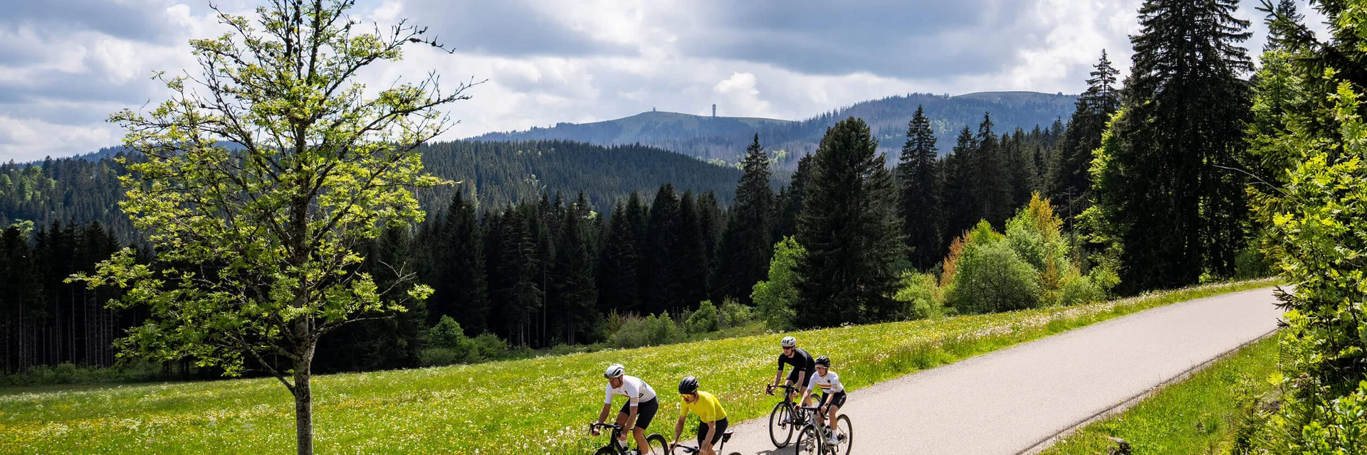 Vier Radfahrer fahren auf einer Landstraße durch grüne Wiesen und Wälder