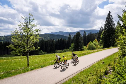 Zwarte Woud © Baschi Bender Vier fietsers rijden op een landweg door groene weiden en bossen