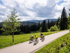 Schwarzwald © Baschi Bender Vier Radfahrer fahren auf einer Landstraße durch grüne Wiesen und Wälder