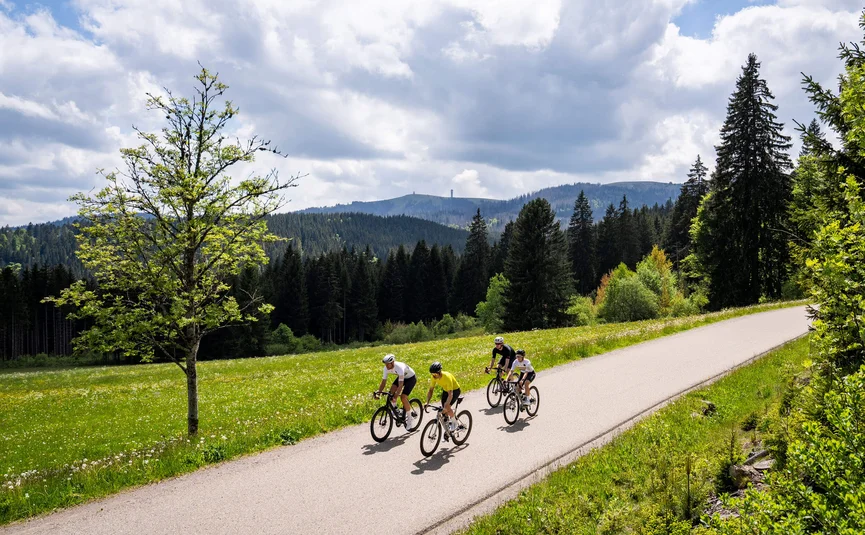 Rennrad Urlaub im Schwarzwald © Baschi Bender Vier Radfahrer fahren auf einer Landstraße durch grüne Wiesen und Wälder