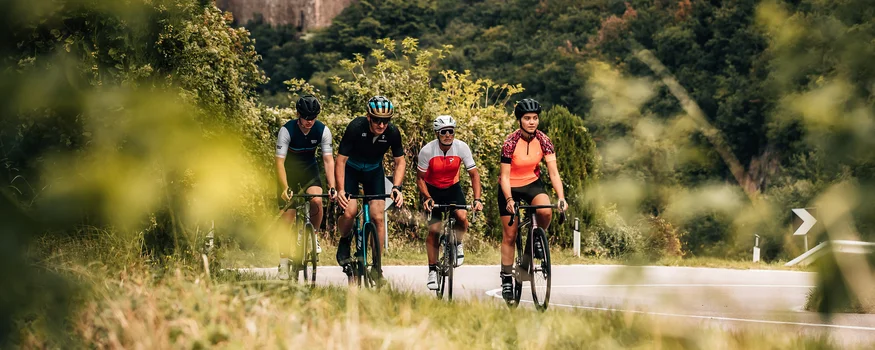 Quattro ciclisti su una strada tortuosa con castello e bosco sullo sfondo