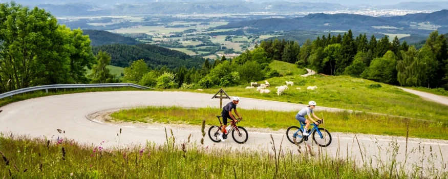 Zwei Radfahrer auf kurviger Bergstraße mit Alpen im Hintergrund