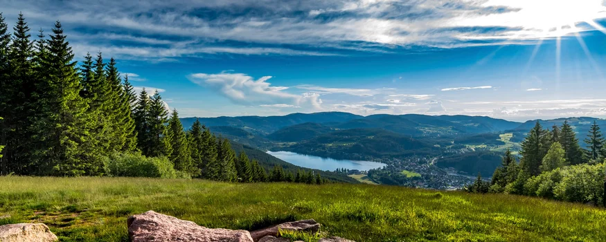 Sonnige Landschaft mit grüner Wiese, Felsen, Tannen und See im Hintergrund