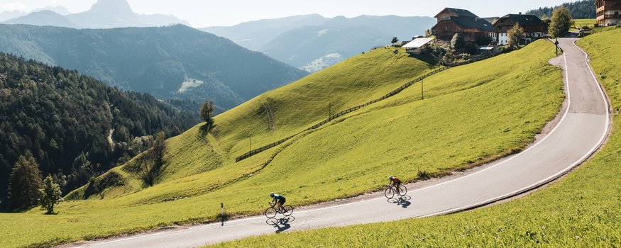 Zwischen Pass & Pasta in San Vigilio © Alex Moling Zwei Radfahrer fahren eine kurvige Bergstraße umgeben von grünen Hügeln