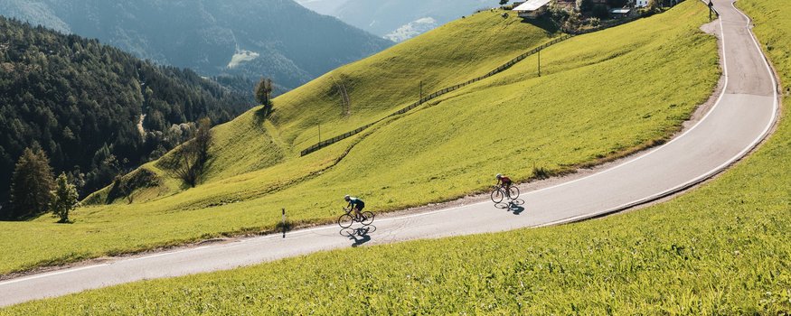 San Vigilio-Pässe-Quartett © Alex Moling Zwei Radfahrer fahren eine kurvige Bergstraße umgeben von grünen Hügeln