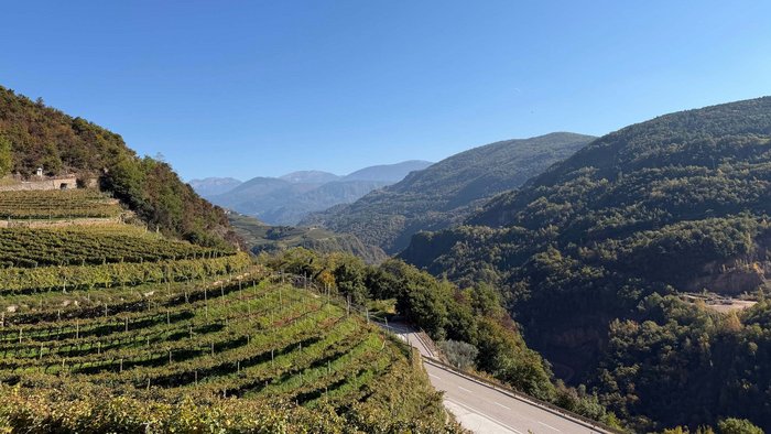 Weinberge an einem sonnigen Berg mit klarem blauen Himmel