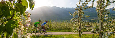 Rennrad Urlaub in Südtirol