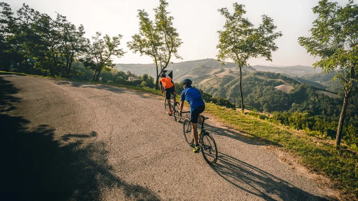 Adriatische Küste: Rennradurlaub mit Dolce Vita © Alex Moling Zwei Radfahrer fahren eine kurvige Straße entlang mit Bäumen und Hügeln im Hintergrund