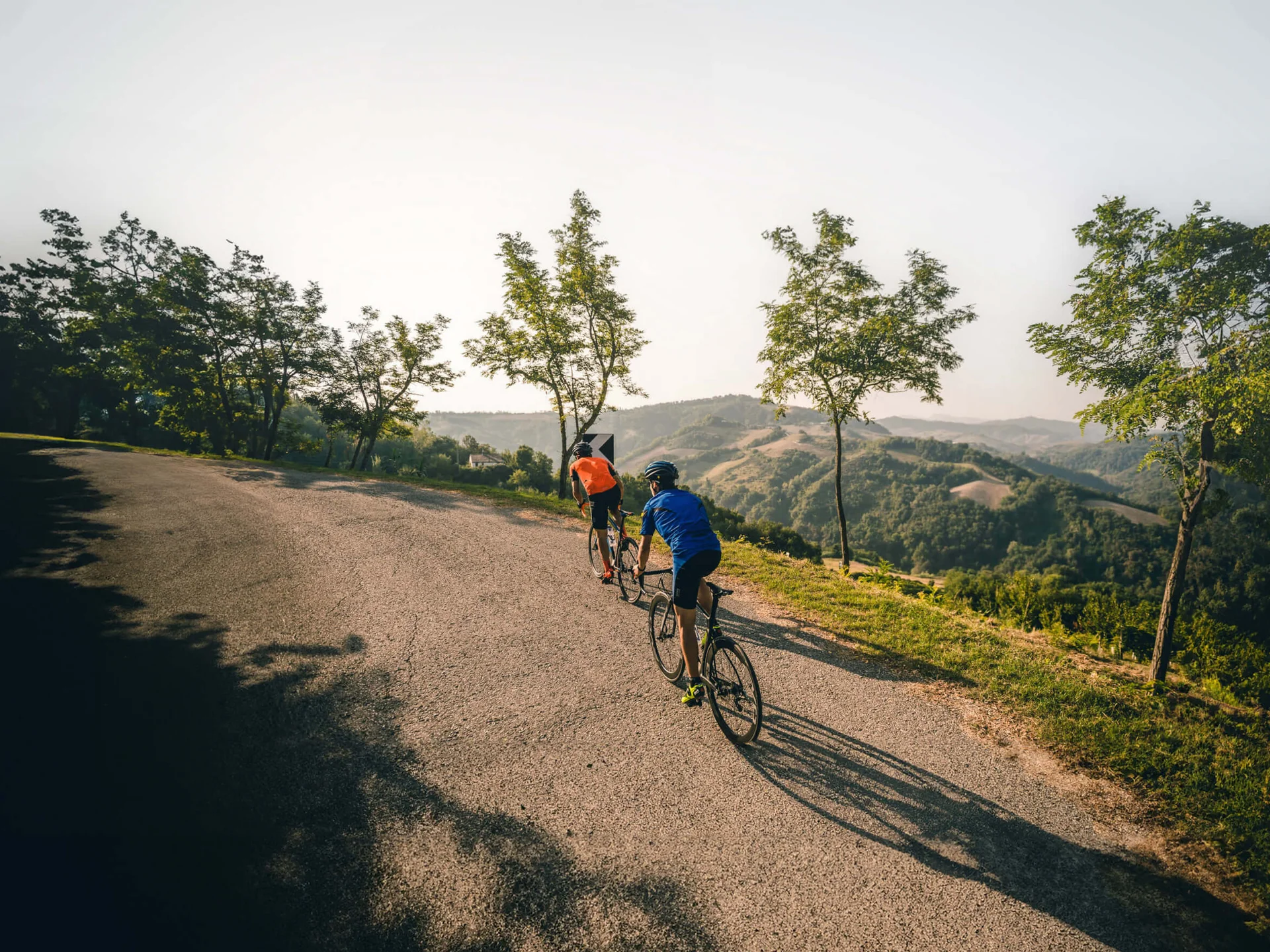 Twee fietsers rijden op een kronkelende weg met bomen en heuvels op de achtergrond