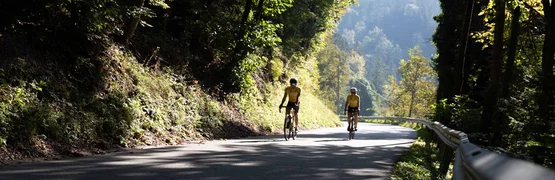 Rennrad Urlaub im Savinja Tal © Kaja Ribezl Zwei Radfahrer auf einem schattigen Waldweg mit Bergblick
